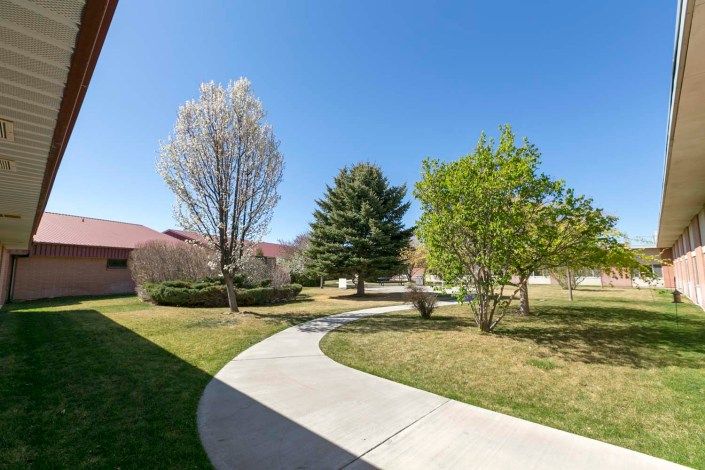 A scenic view of a landscaped area with trees and a curved walkway under a clear blue sky.