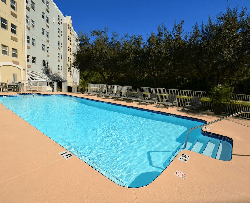 An outdoor swimming pool next to a building, surrounded by trees under a clear blue sky.