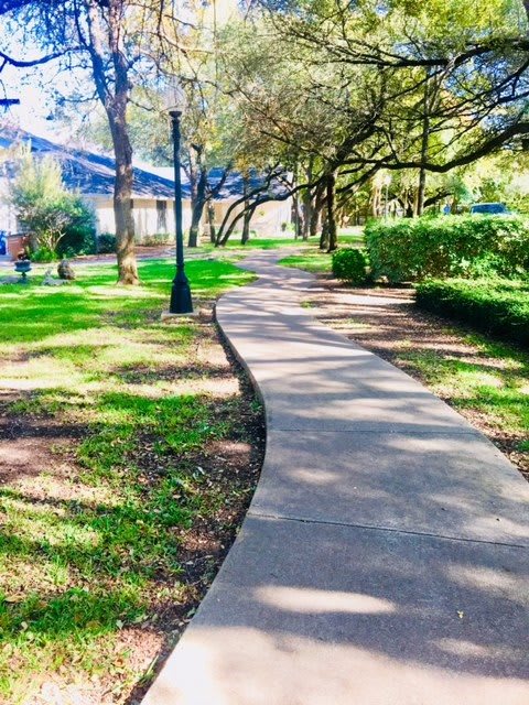A serene outdoor pathway surrounded by greenery and trees.
