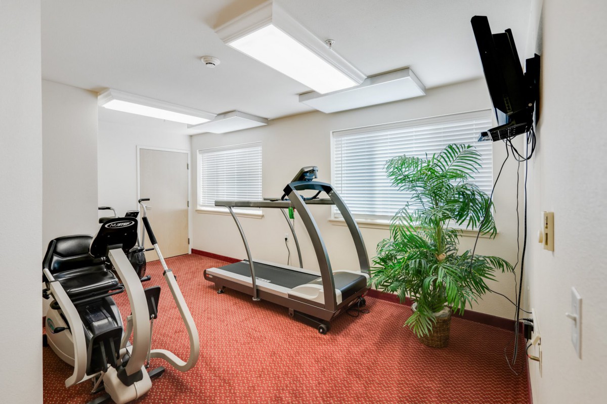 A small gym room equipped with a treadmill and exercise bike, featuring an indoor plant for ambiance.