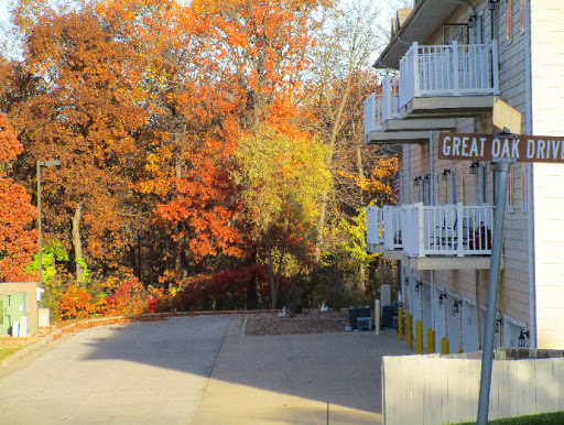 A picturesque view of a hotel surrounded by vibrant autumn foliage.