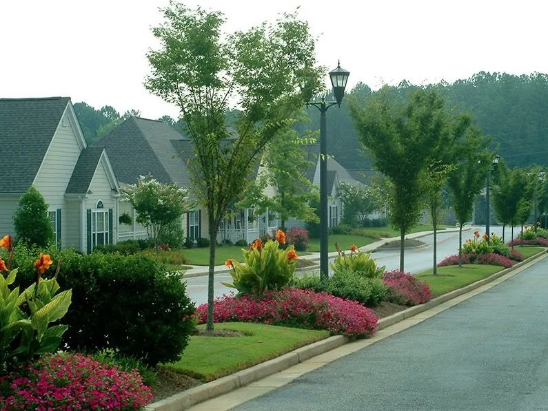 A suburban street with well-maintained landscaping and houses.