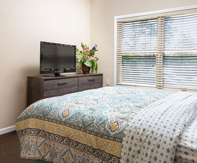 A cozy bedroom featuring a patterned bedspread, a TV on a dark dresser, and sunlight streaming through blinds.