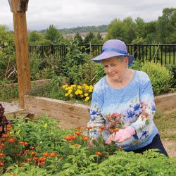 An elderly woman enjoys gardening, surrounded by vibrant flowers and greenery outdoors.