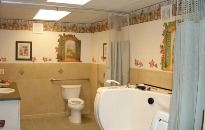 An accessible bathroom featuring a toilet, walk-in bathtub, and decorative wallpaper.