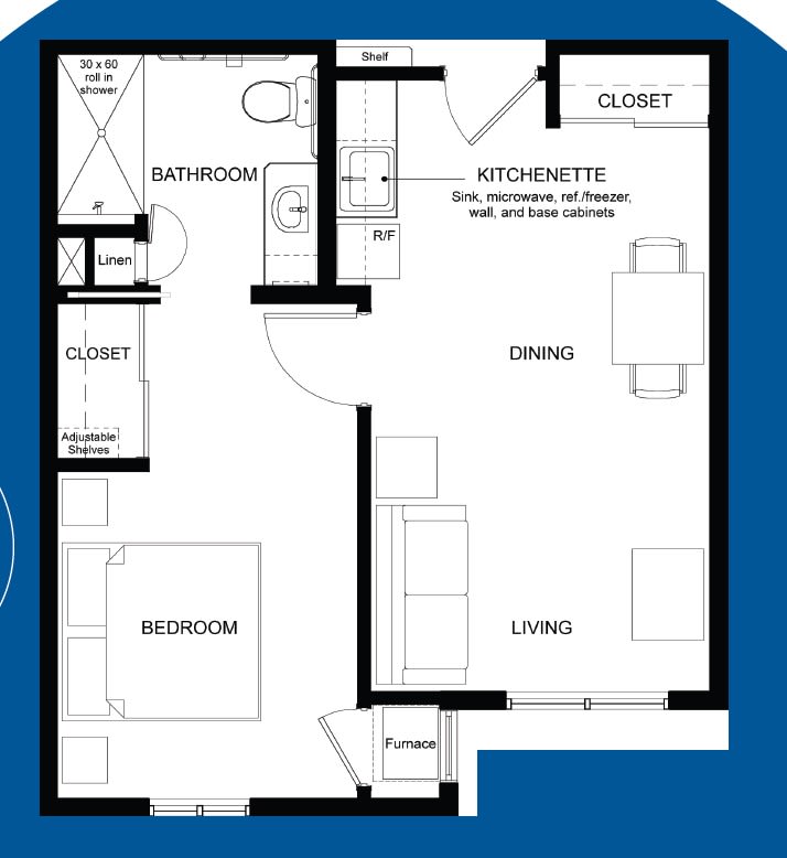 Small apartment floor plan featuring a bedroom, living room, kitchenette, bathroom, and closet.