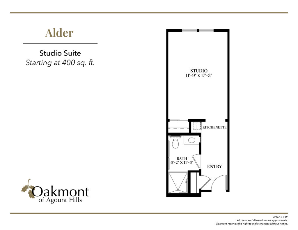 Floor plan of a studio suite labeled 'Alder' with an area of 400 sq. ft.