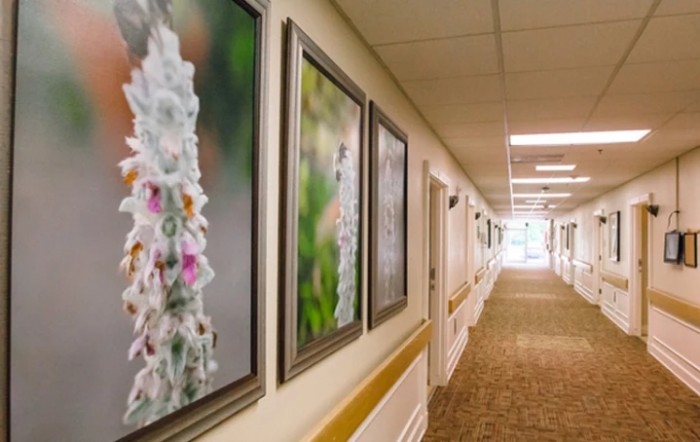 Signature HealthCARE of Marietta