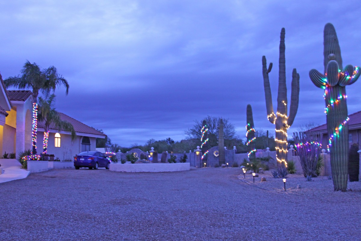 A house with illuminated cacti in the driveway during dusk.