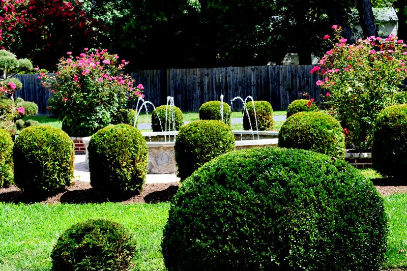 Vienna Manor Assisted Living