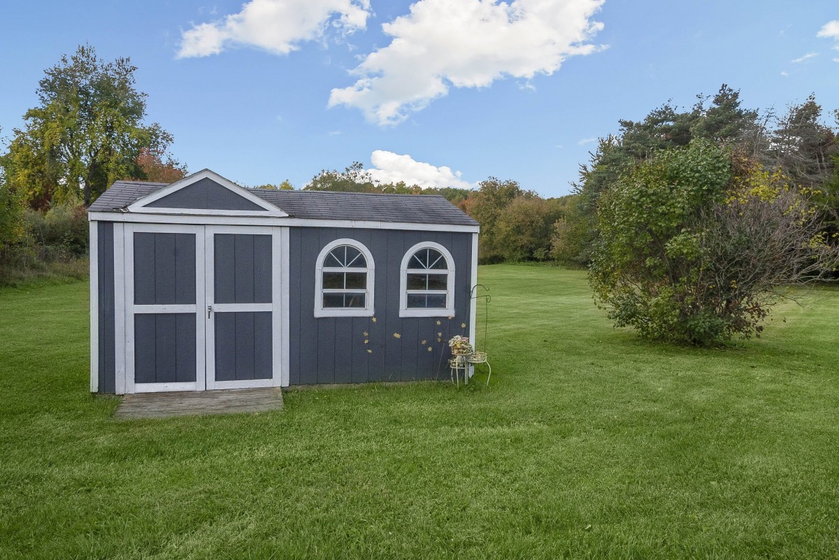 A backyard scene featuring a blue shed, surrounded by a green lawn and trees under a blue sky.