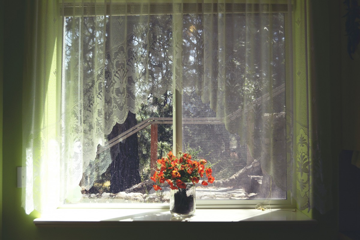 A vase of flowers sits on a windowsill, bathed in sunlight filtering through sheer curtains.