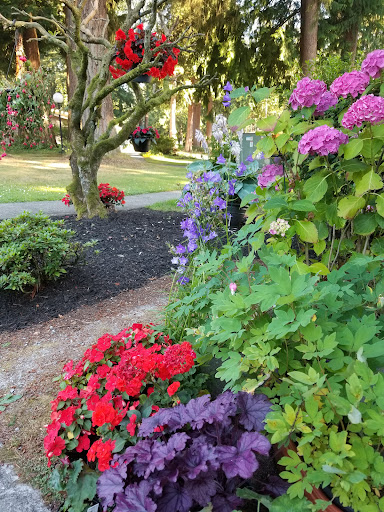 A vibrant garden filled with various colorful flowers, showcasing the beauty of nature.