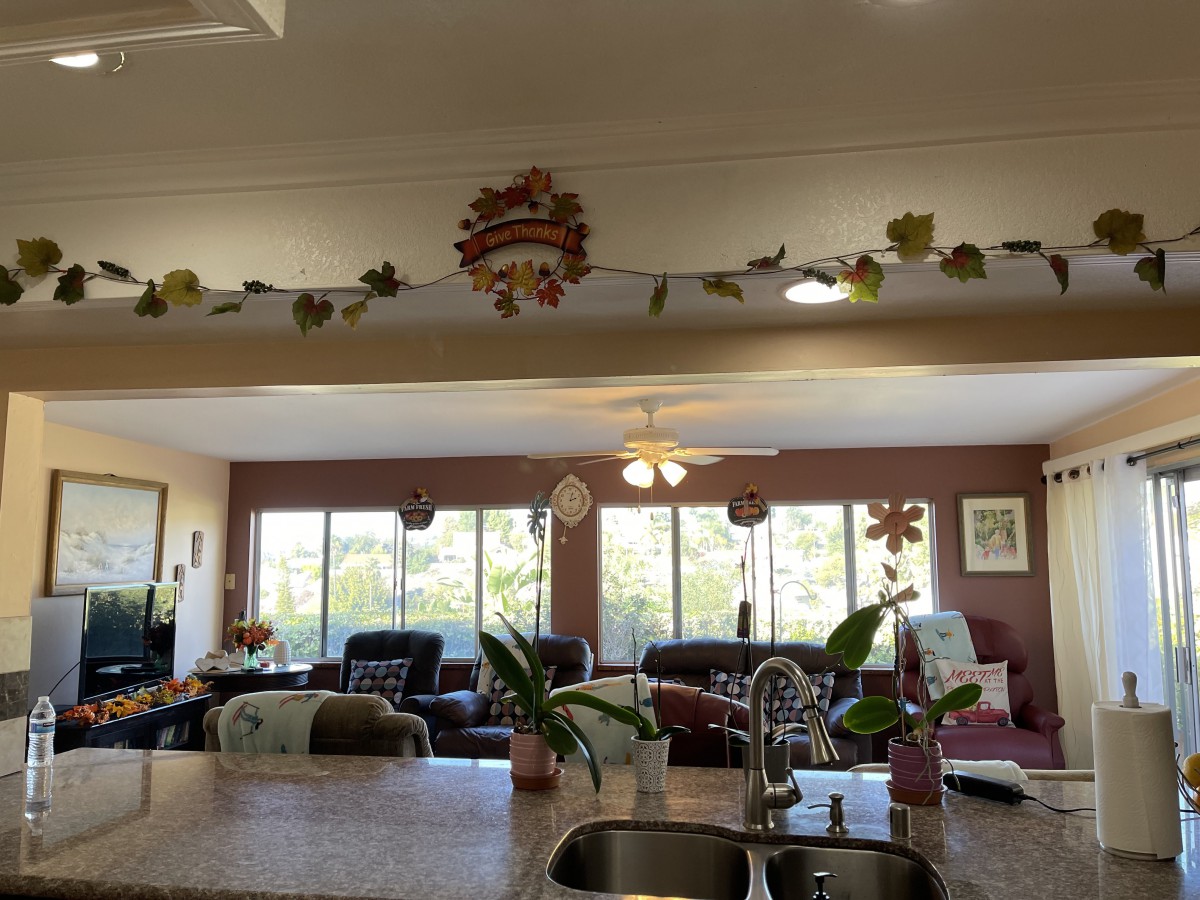A cozy living room with a kitchen counter, adorned with plants and decorations.