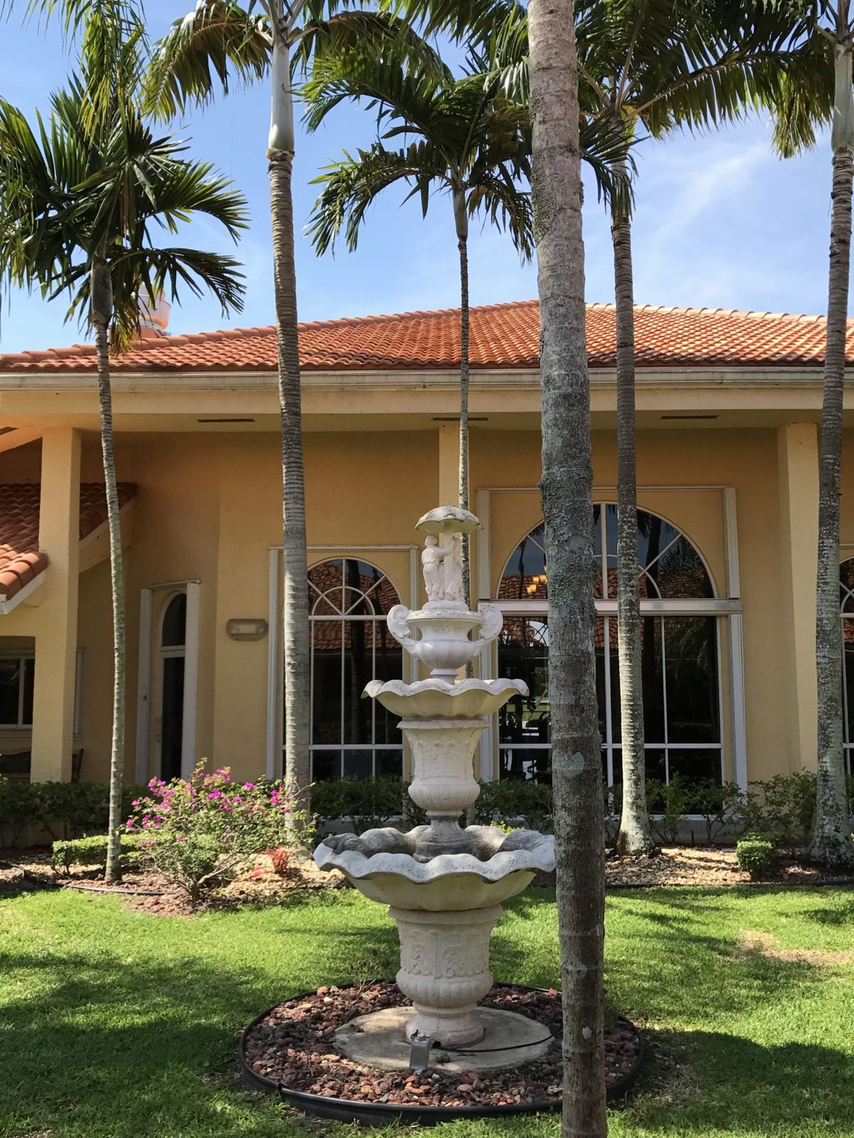 A charming outdoor scene featuring a decorative fountain surrounded by palm trees and a building with arched windows.