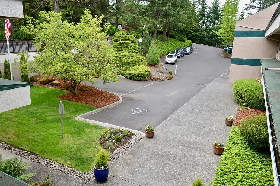 A scenic view of a driveway and parking lot surrounded by lush greenery and trees.