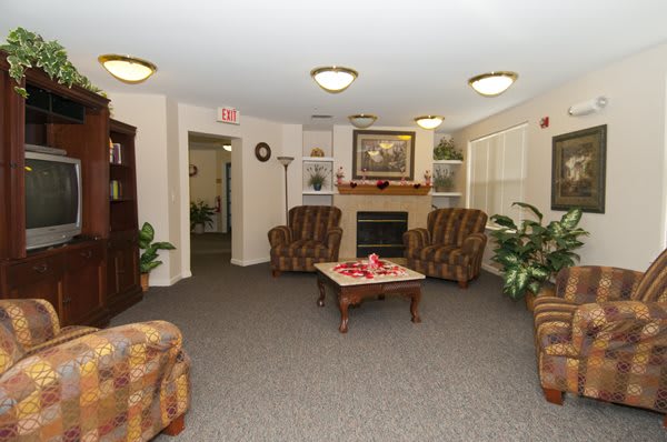 A cozy living room featuring a fireplace, sofas, and decorative plants.