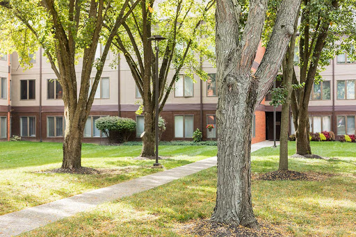 A serene path bordered by trees leading to a building in an urban setting.