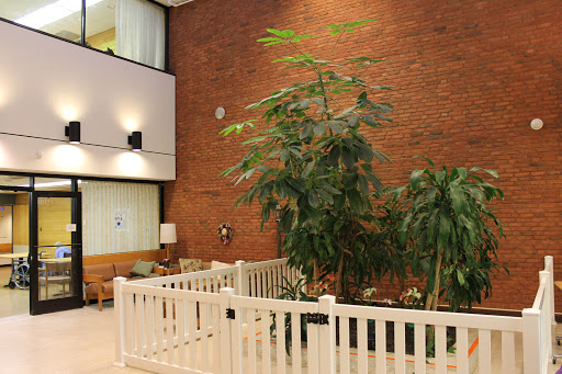 A serene indoor space featuring lush plants enclosed by a white fence against a backdrop of a warm brick wall.