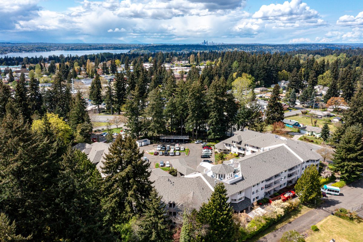 A scenic aerial view of a residential area surrounded by trees and nature.