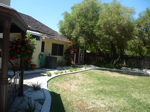 A sunny backyard with a lawn, trees, and a house with a pathway.