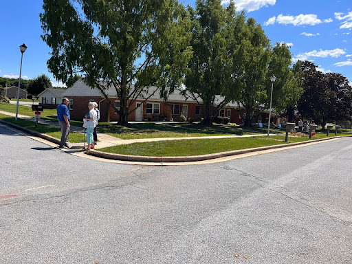 Two people walking in a residential neighborhood on a sunny day.