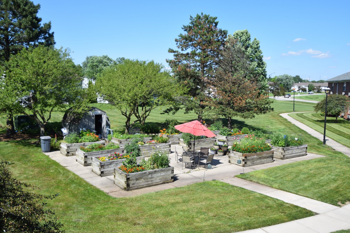 A lush garden with raised beds and a red umbrella in a sunny outdoor setting.