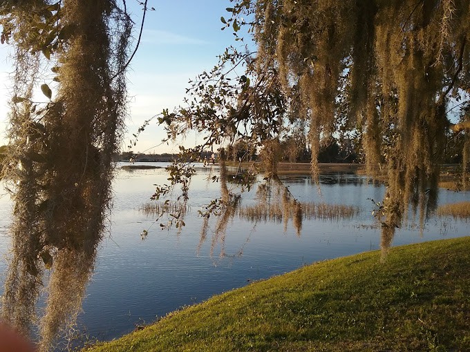 A serene lakeside view at sunset, with trees and reflections on the water.