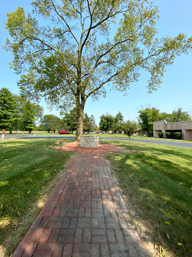 A serene pathway lined with grass and a large tree, leading through a peaceful park.