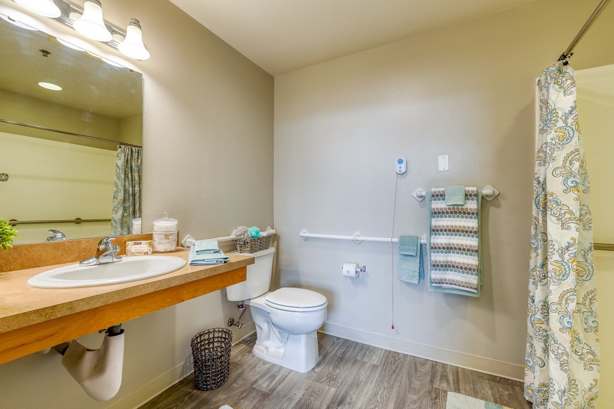 A modern, accessible bathroom with a sink, toilet, and handrails for support.