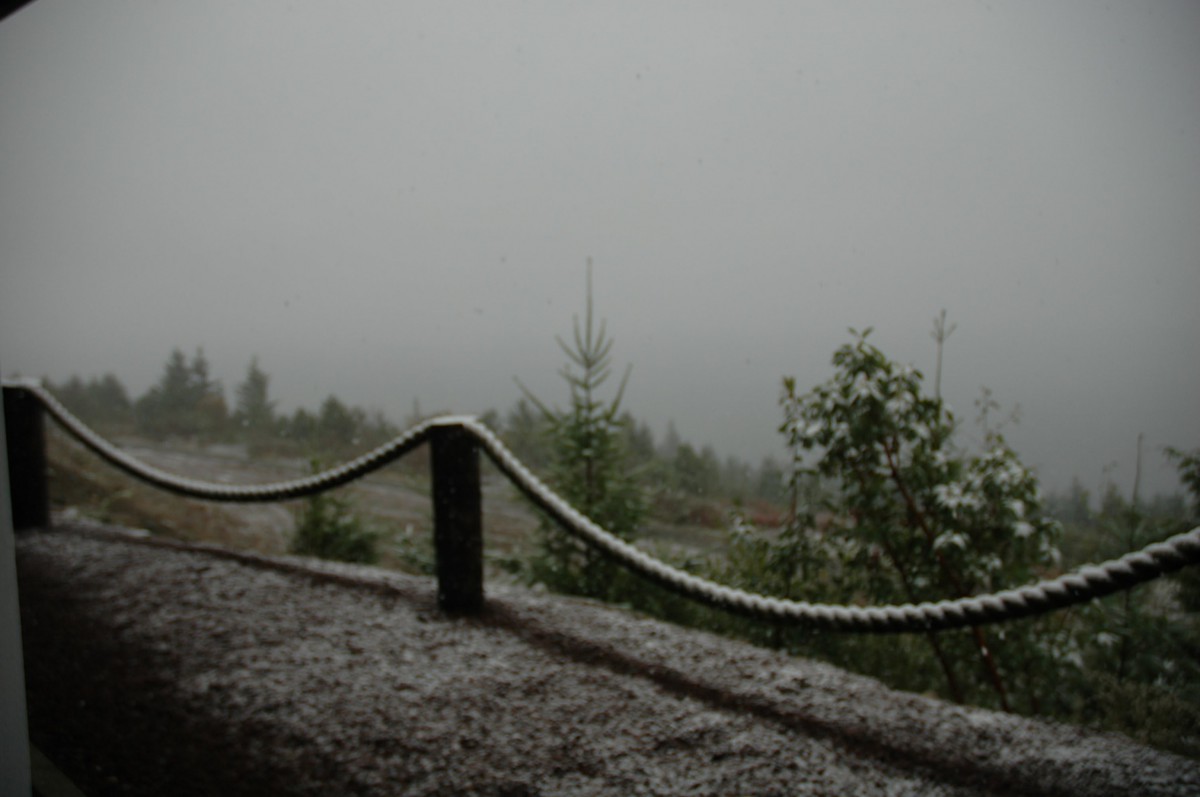 A misty landscape with trees and a wooden railing on an overcast day.
