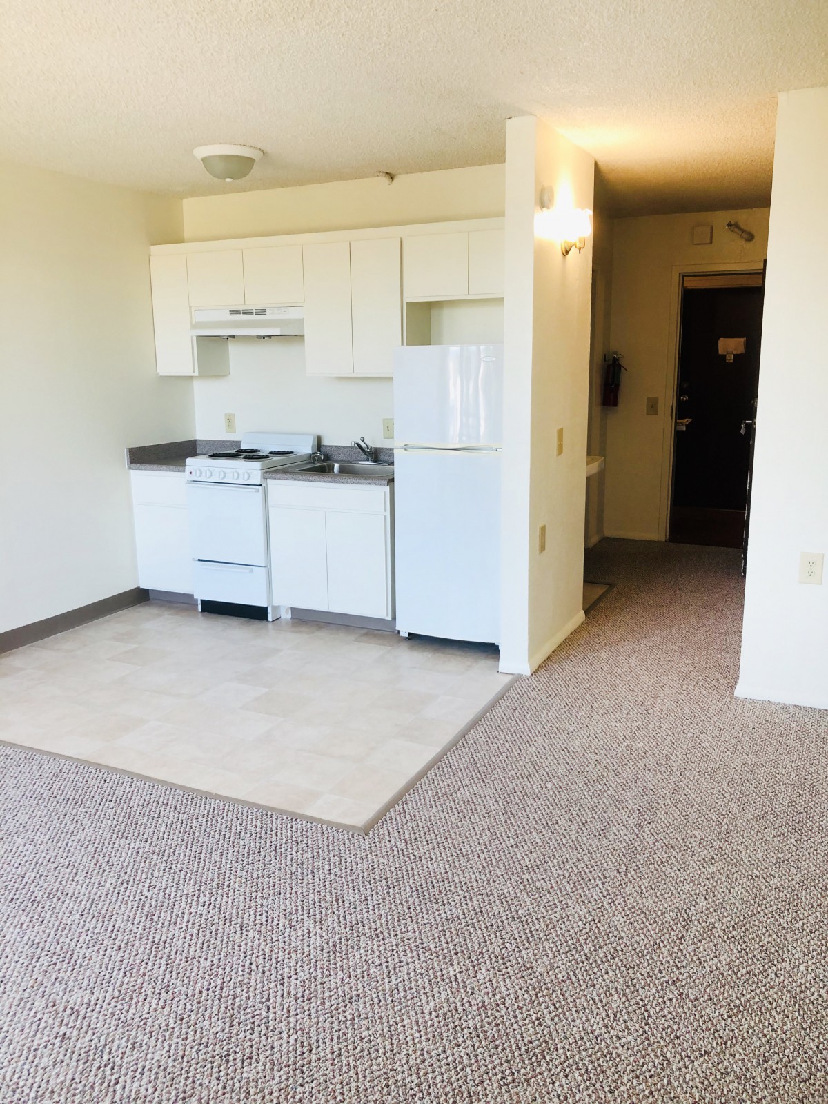A compact studio apartment with a kitchenette and carpeted living area.