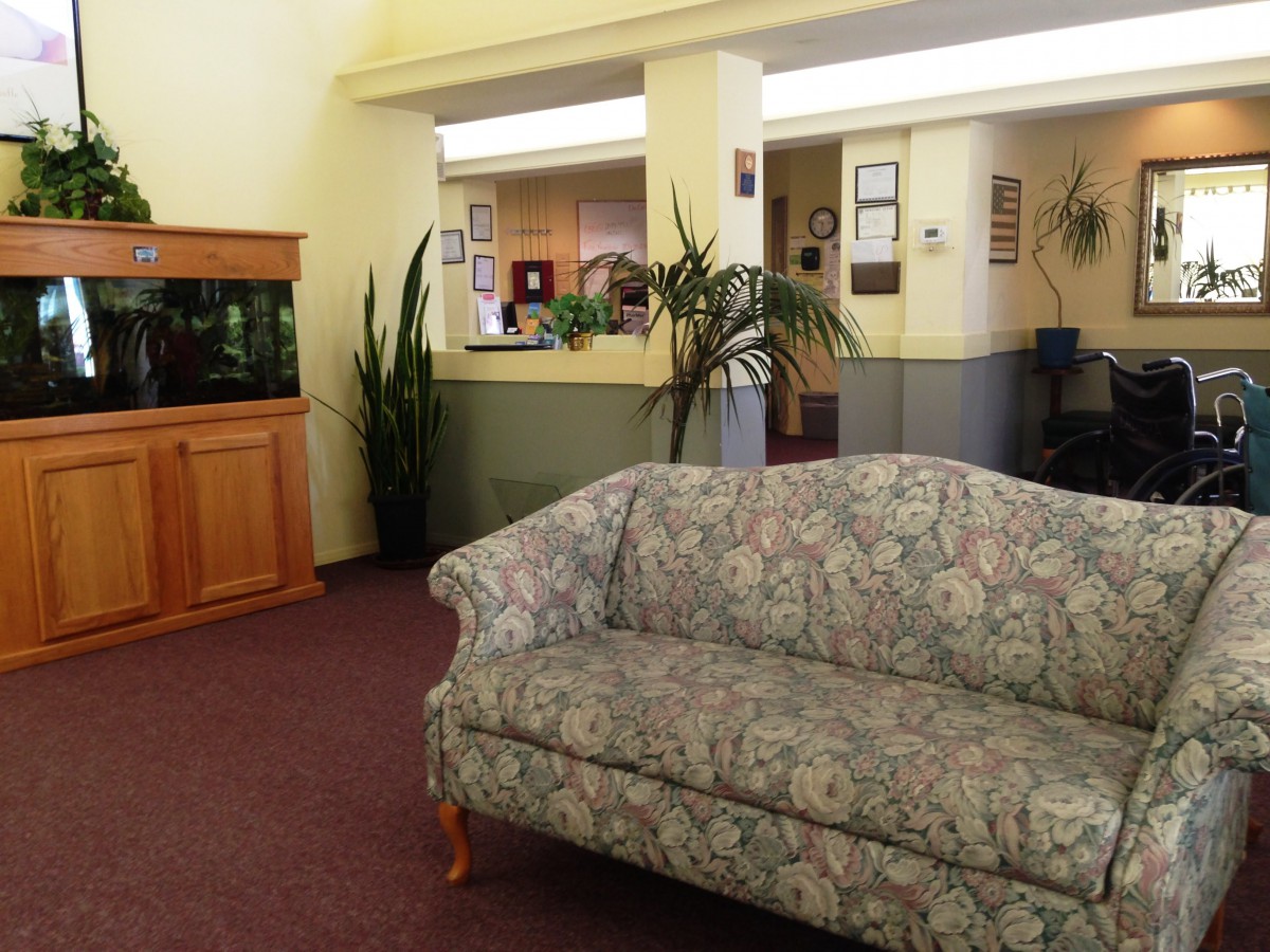 A cozy waiting room with a floral patterned sofa, indoor plants, and an aquarium.