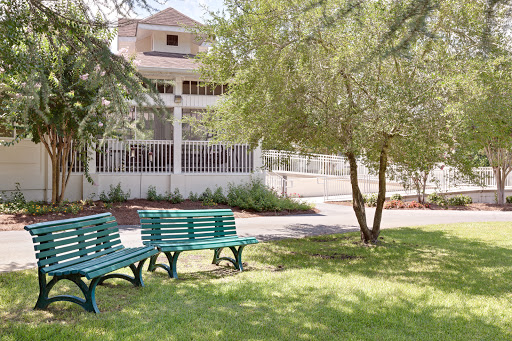 A serene park setting featuring green benches under the shade of trees.