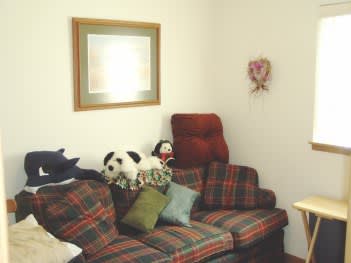 A cozy living room with a plaid-patterned sofa, decorative cushions, and a dog relaxing on top. The walls are adorned with framed art and unique decor.