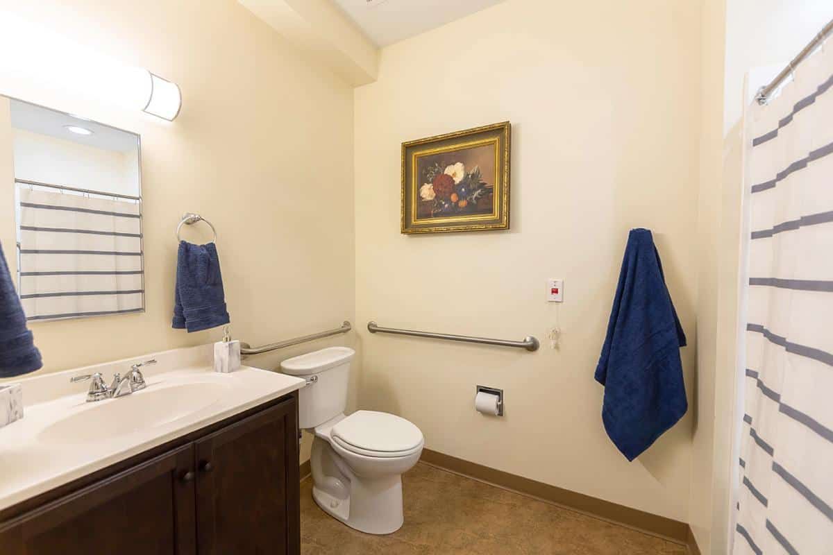 A well-lit bathroom featuring a toilet, sink with a mirror, artwork on the wall, and blue towels.