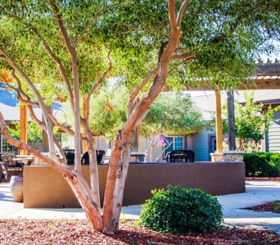 Legacy Ranch