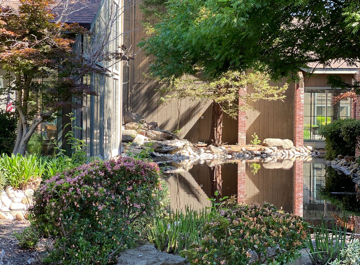 A serene garden with a reflective pond surrounded by lush greenery and architectural elements.