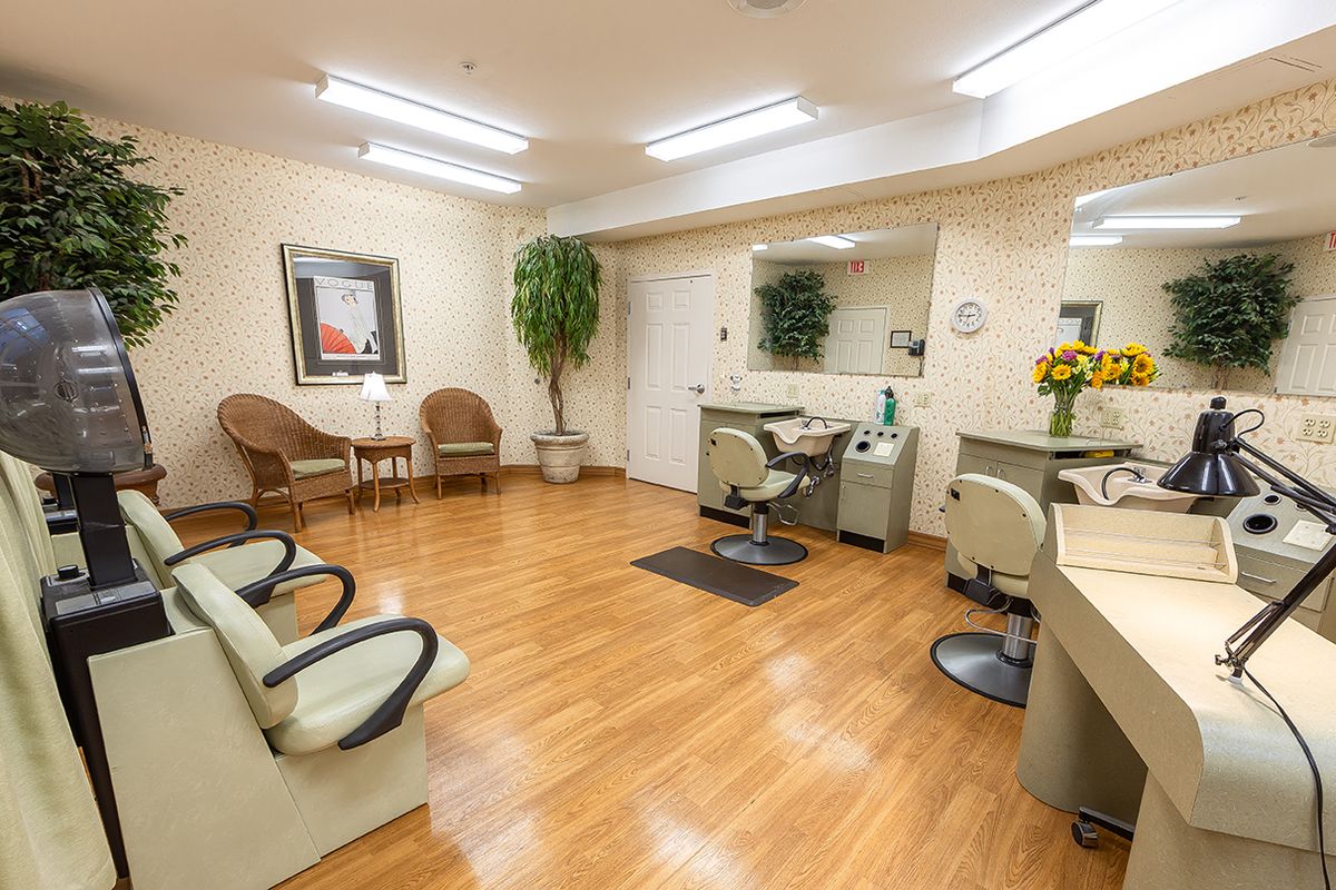 A well-lit salon interior with chairs and mirrors, complete with a waiting area and decorative plants.