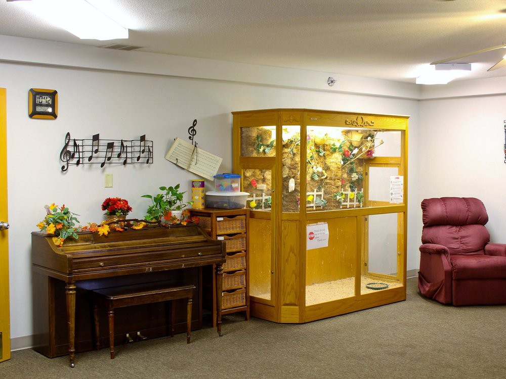 A cozy room with a piano, a bird cage, and decorative music notes on the wall.