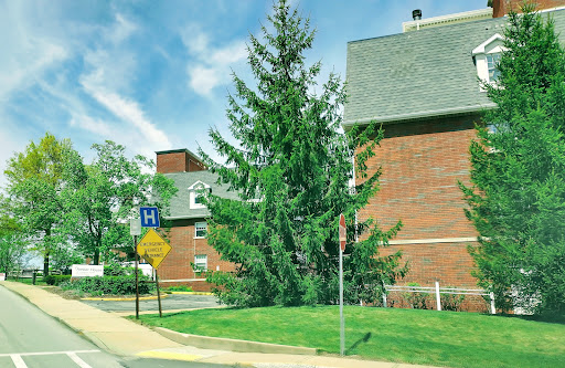 A tall evergreen tree stands beside a brick building under a clear blue sky.