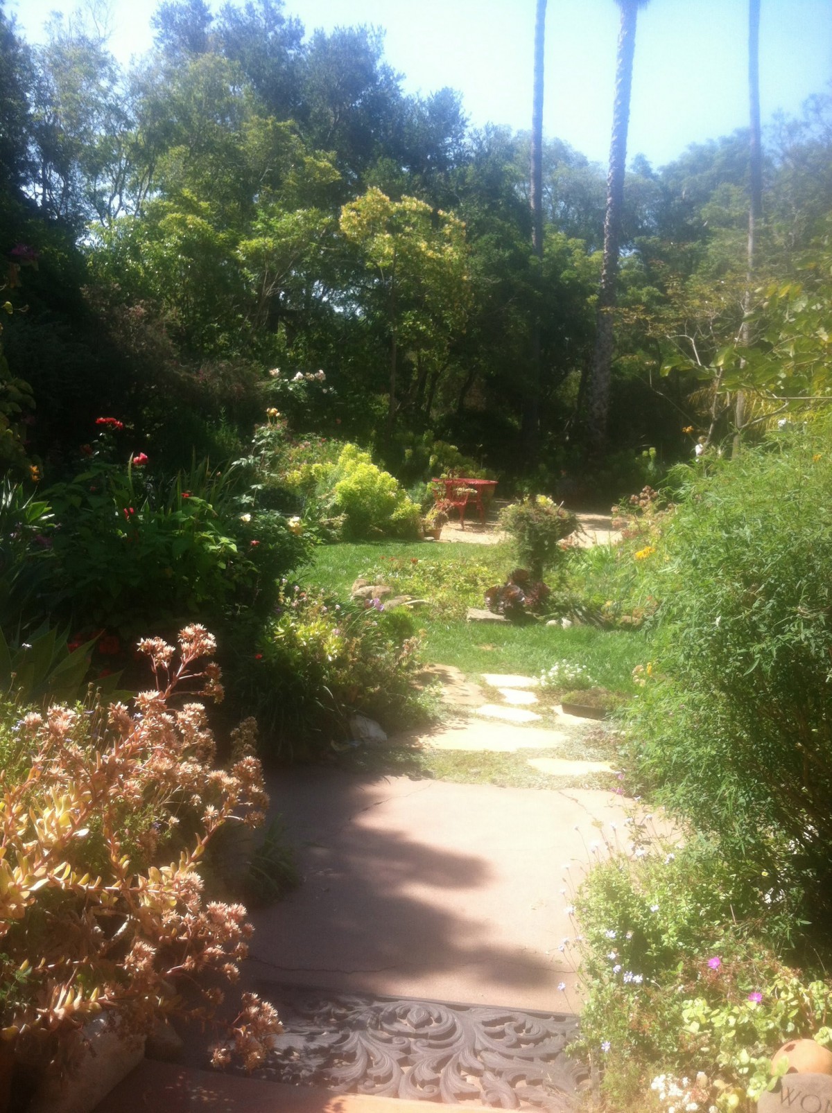 A sunlit garden pathway surrounded by lush greenery and various plants.