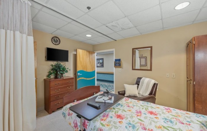 An interior view of a well-furnished hospital bedroom featuring a bed with floral bedding, a television, a drawer with a plant, and an armchair.