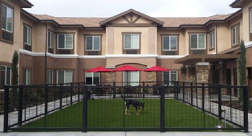 A two-story house with a fenced yard and a dog standing on the lawn, featuring patio seating under red umbrellas.