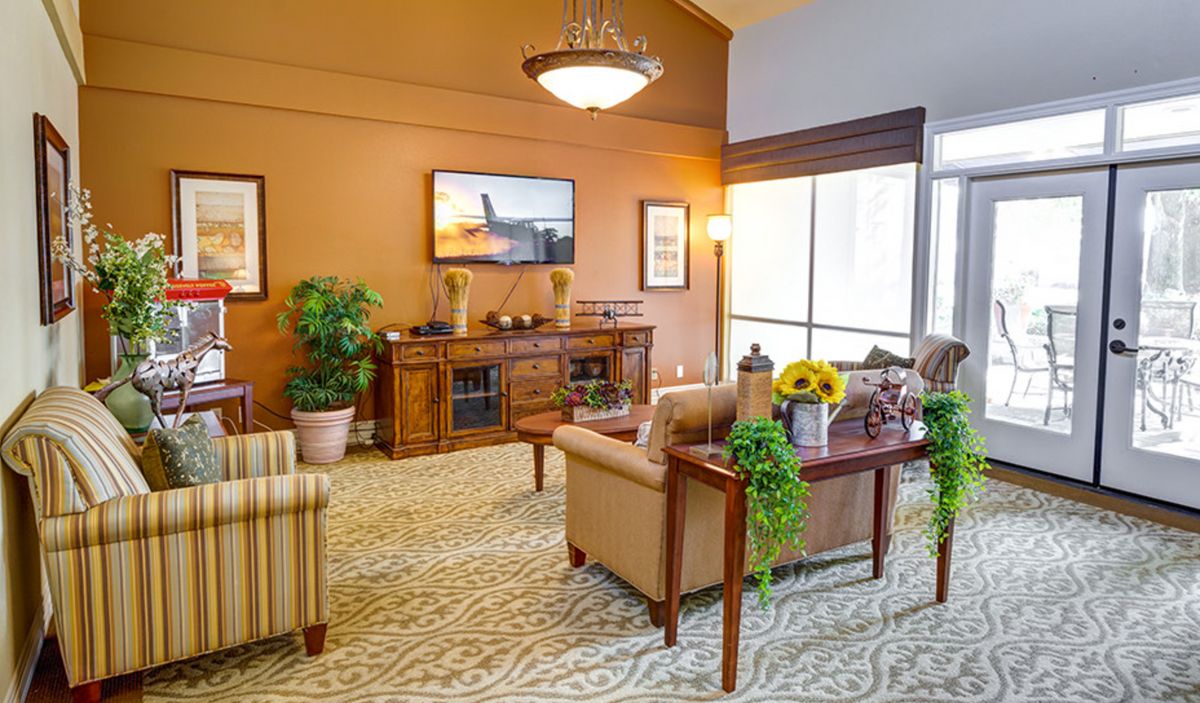 A cozy living room with comfortable seating, warm lighting, and decorative plants.