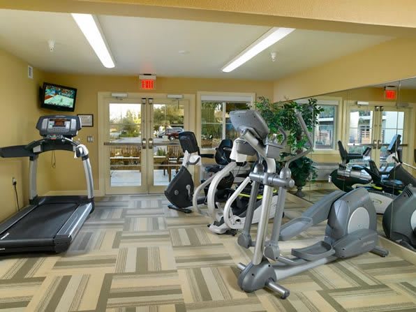 A well-equipped gym featuring treadmills and elliptical machines.