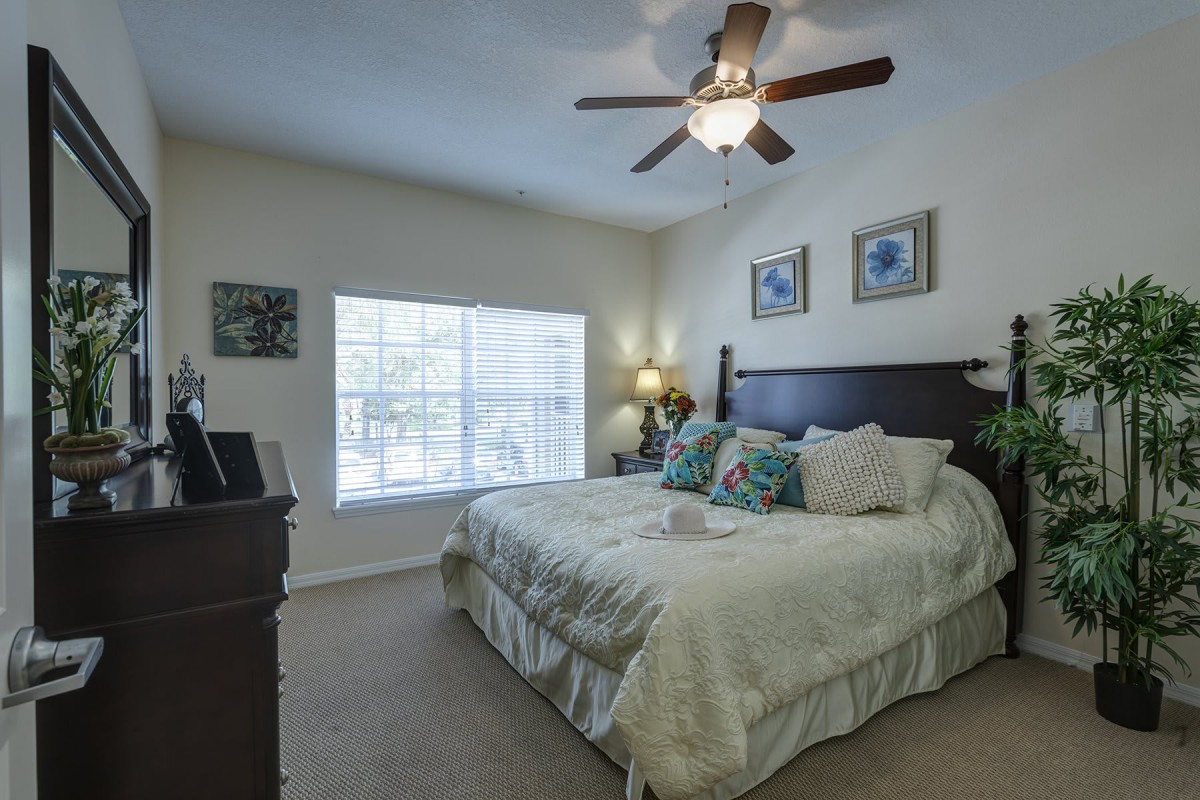 A cozy bedroom with a large bed, ceiling fan, and natural light from the window.