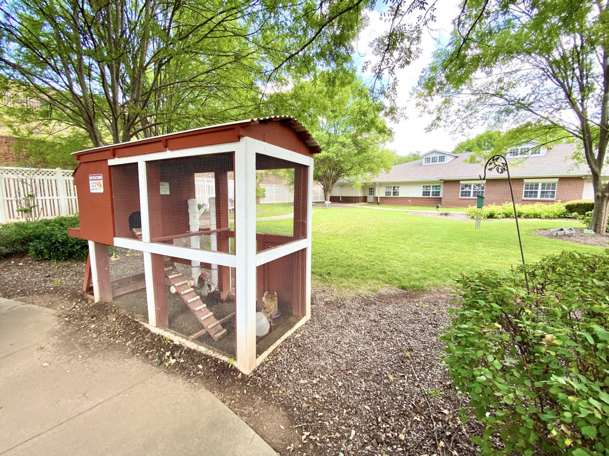 A small red chicken coop situated in an outdoor grassy area with trees and a building in the background.