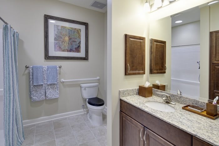 A modern bathroom featuring a toilet, sink, mirror, and tasteful decor.