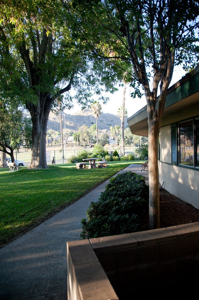 A peaceful park setting with trees, a building, and a sidewalk leading through the grassy area.